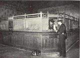 1890's tucson bank photo