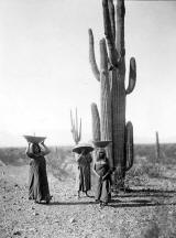 Tucson Indians in desert 1880's photo